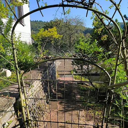 Horst Schaefer * イーダル・オーバーシュタイン