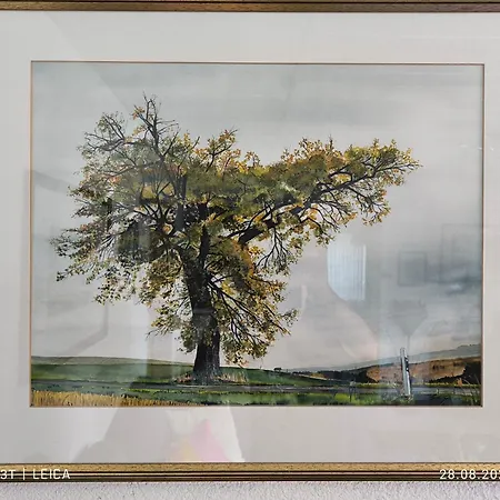 Horst Schaefer Διαμέρισμα