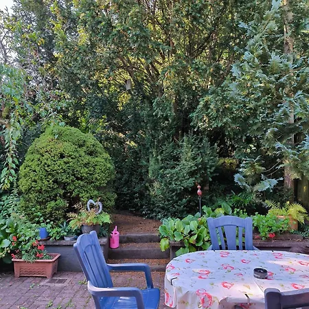 アパート Horst Schaefer イーダル・オーバーシュタイン