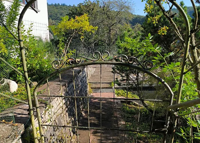 Horst Schaefer * Idar-Oberstein